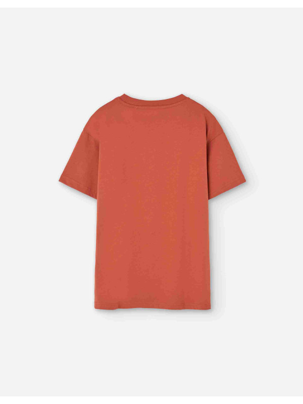 Losan κοντομάνικο t-shirt αγόρι LJBAP0103_25006-Brown καφέ