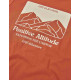 Losan κοντομάνικο t-shirt αγόρι LJBAP0103_25006-Brown καφέ