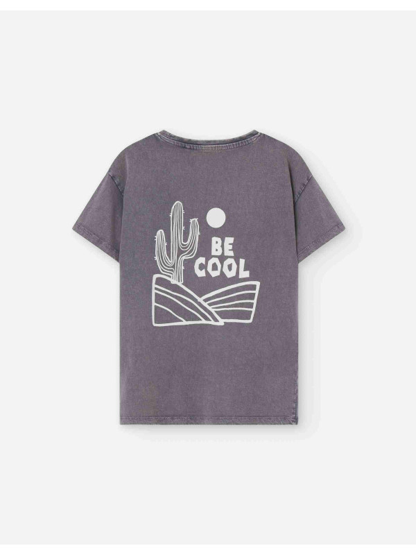 Losan κοντομάνικο T-shirt αγόρι LKBAP0303_25037-Grey γκρι