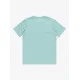 QUIKSILVER κοντομάνικο T-Shirt αγόρι EQBZT04847-BGW0 βεραμάν
