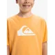 QUIKSILVER κοντομάνικο T-Shirt αγόρι EQBZT048451-NGR0 πορτοκαλί QUIKSILVER κοντομάνικο T-Shirt αγόρι EQBZT048451-NGR0 πορτοκαλί